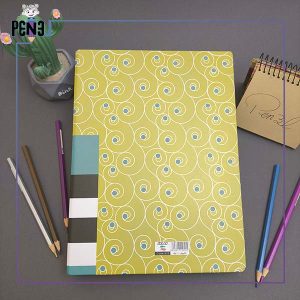 کلاسور آیلار زرد