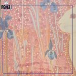 نقاشی الماسی بزرگسال کریستالی 6 رنگ خرگوش